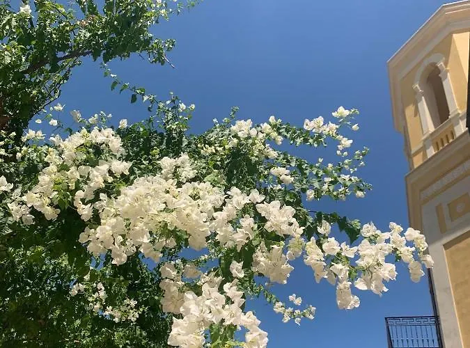 Giada Apartment Trani